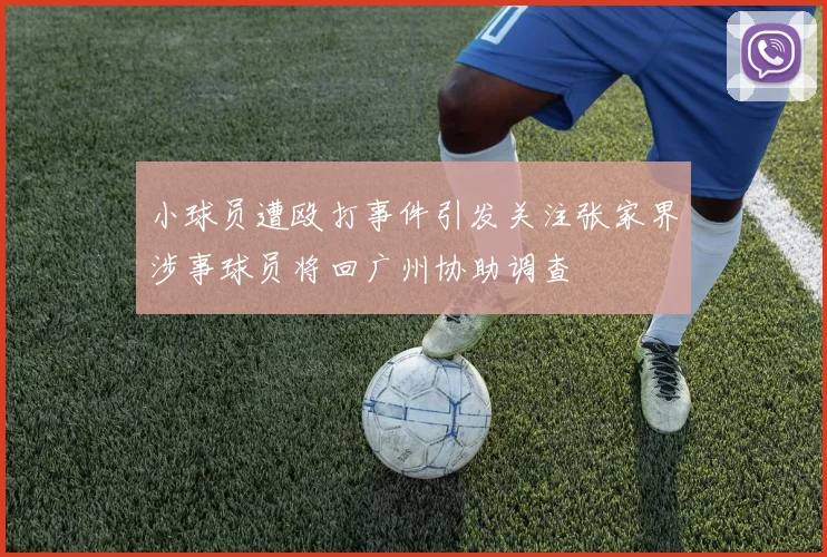 小球员遭殴打事件引发关注张家界涉事球员将回广州协助调查